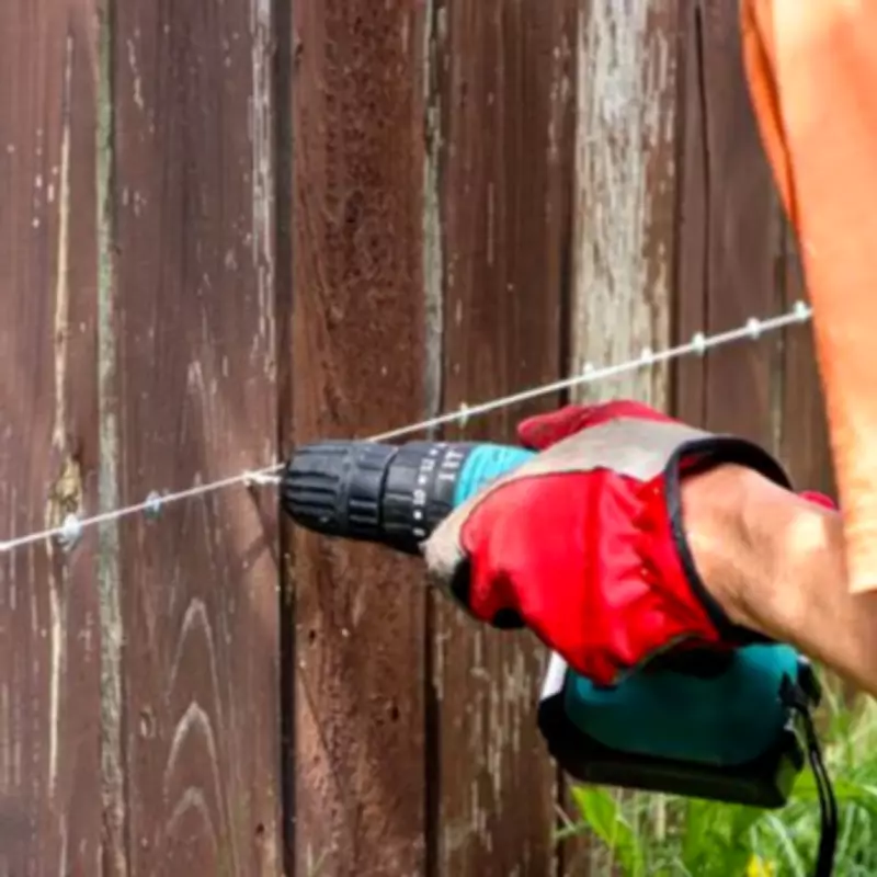 Gardeners Urged to Drill Fence Holes for Hedgehog Highways Before Spring