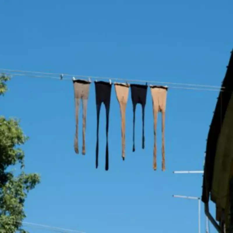 Gardeners Urged to Repurpose Old Tights for Outdoor Tasks This March