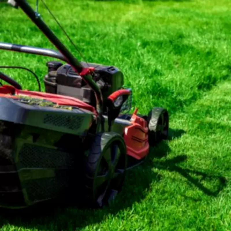 Gardening Expert Reveals Perfect Lawn Mowing Height for Spring