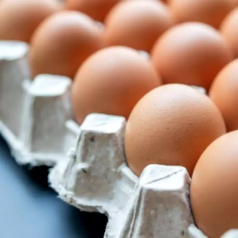 Gardening Expert Urges Public to Repurpose Egg Cartons for Garden Use