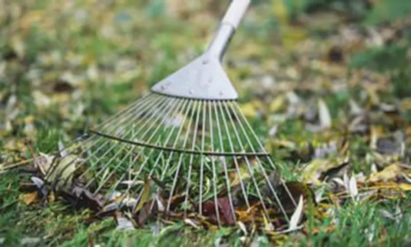Gardening Expert Warns Against Early Lawn Mowing This Spring