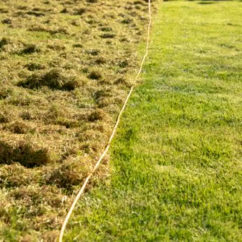 Gardening Expert Warns: Don't Mow Your Lawn in March Without This Quick Test