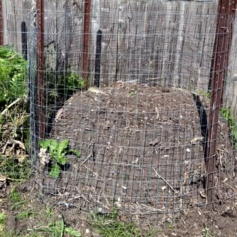 Gardening Expert's March Potato Tower Yields Summer Harvest