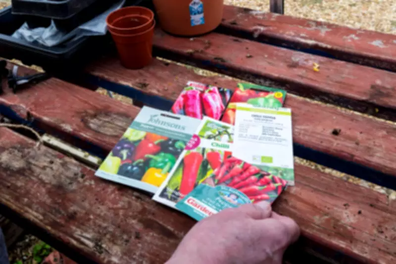 Gardening Experts Reveal How to Use Out-of-Date Seeds Successfully