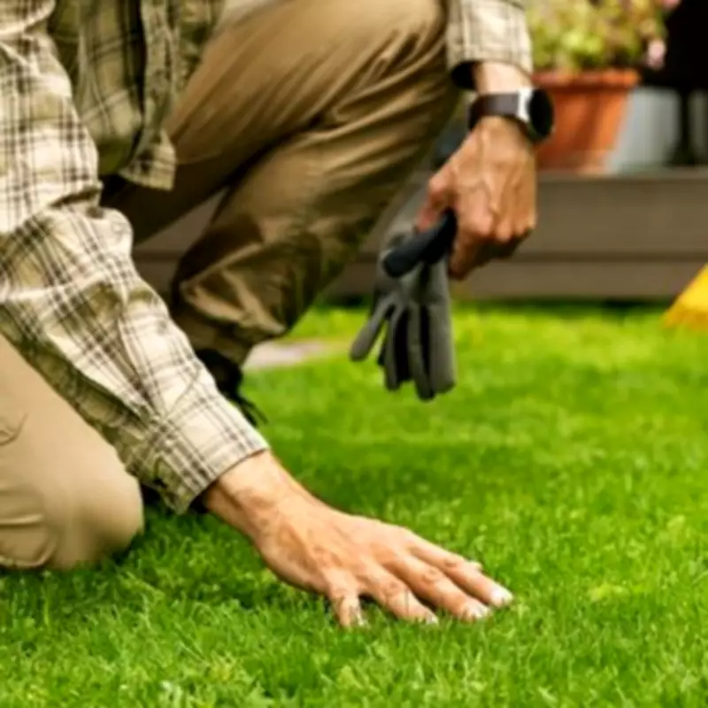 Gardening Expert's Simple Three-Product Method to Level Bumpy Lawns