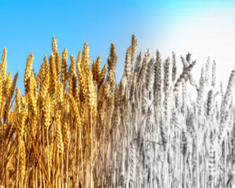 Global Food System on Brink: Corporate Gamble Threatens Mass Starvation