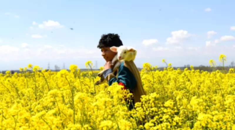 Global Photo Diary: Conflict, Beauty, and Daily Life Across Continents