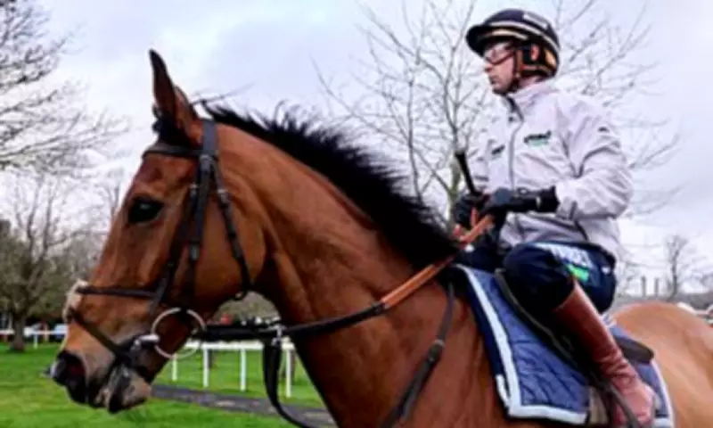 Gold Cup Showdown: Redknapp's Jukebox Man Aims for Racing's Front Page Glory