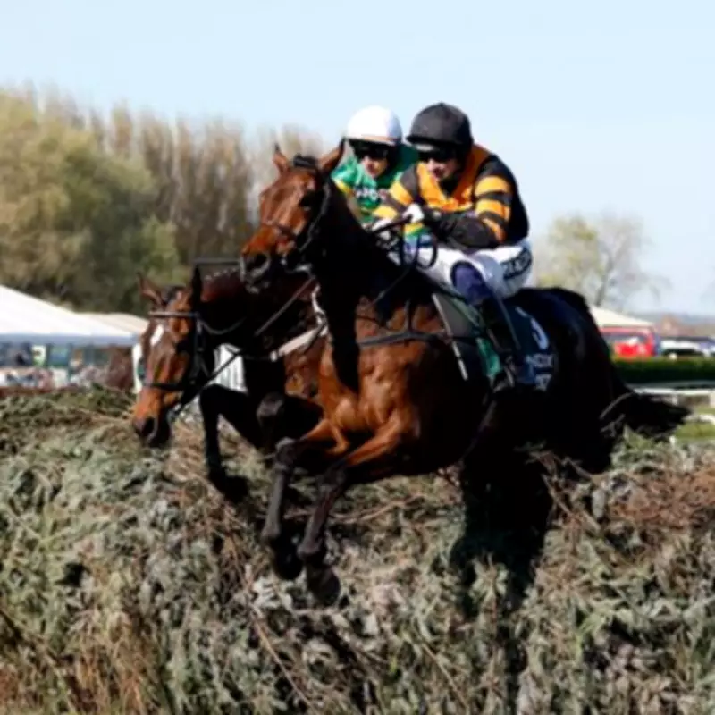 Grand National 2026: 48-Page Guide Unveils Tips, Runners & Expert Analysis