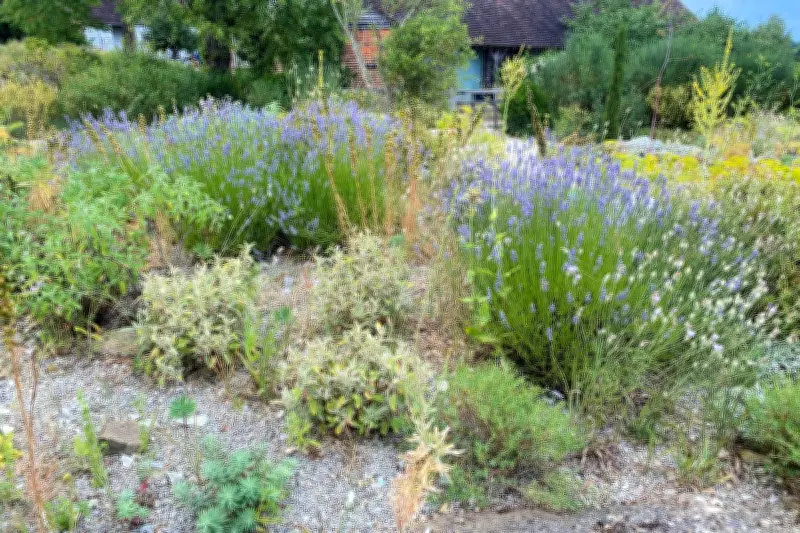 Gravel Gardens Gain Popularity as Fire-Safe, Water-Wise Landscaping Solution