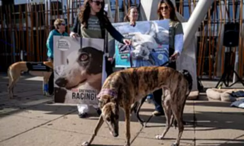 Greyhound Racing Ban in Scotland and Wales Sparks Concern for Horse Racing's Future