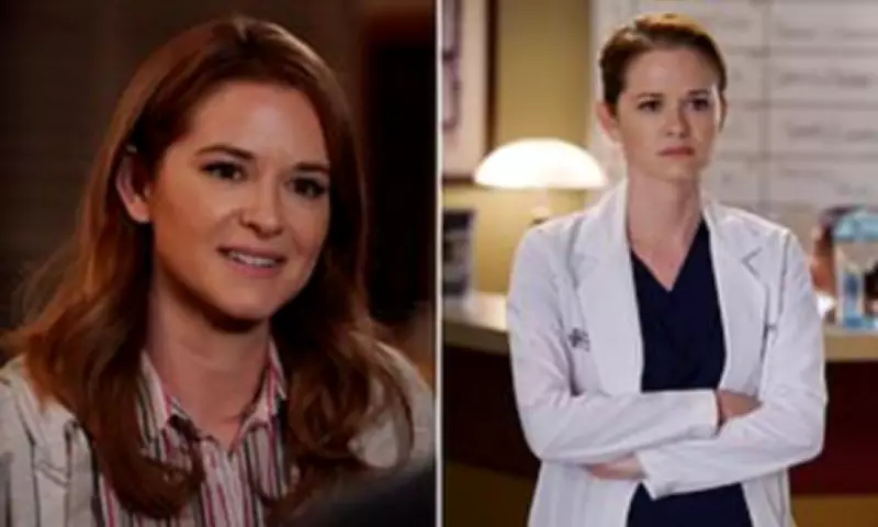 Grey's Anatomy Star Reveals 'Brutal' Sacking After 19 Pleas for Explanation