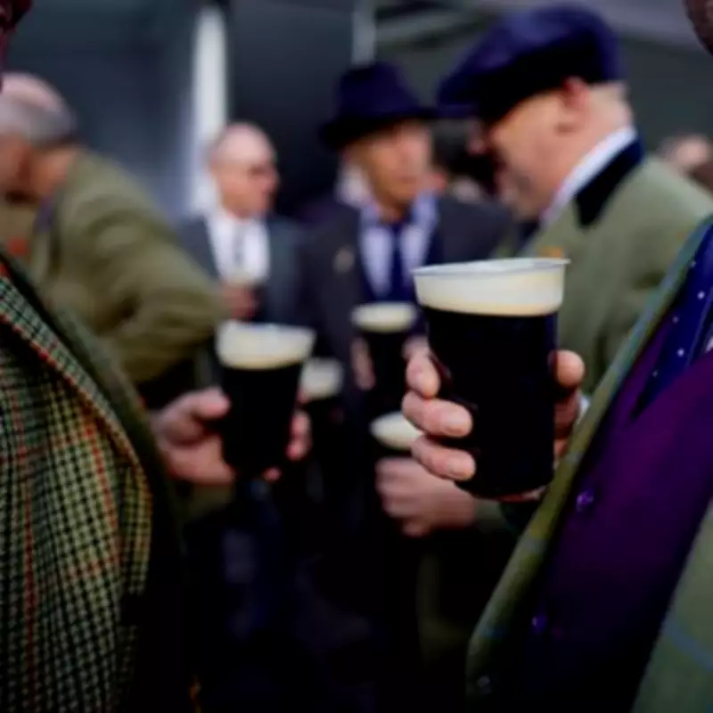 Guinness Prices Slashed for 2026 Cheltenham Festival After Public Outcry