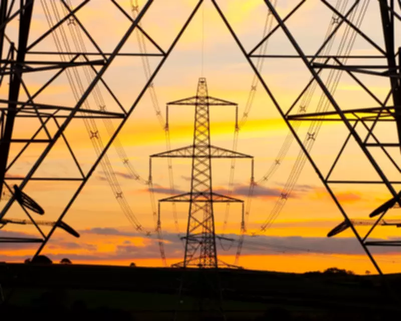 Halo Trade Fuels Record Highs as Investors Flee AI for Tangible Assets