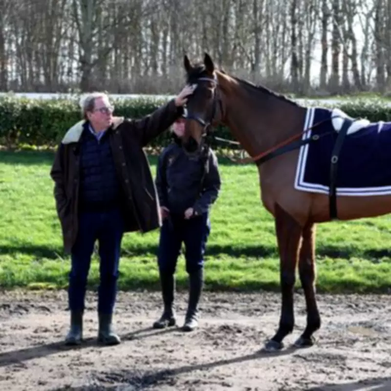 Harry Redknapp's Cheltenham Contender The Jukebox Man Sidelined by Mystery Muscle Injury