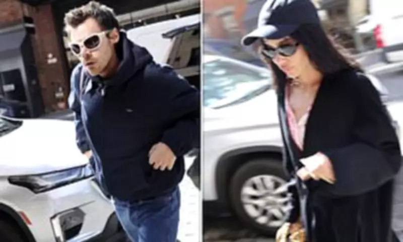 Harry Styles and Zoë Kravitz Enjoy Romantic NYC Lunch Amid Family Plans