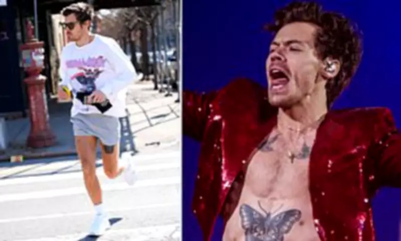 Harry Styles Invests £20,000 in Infrared Sauna for Muscle Recovery in London Home