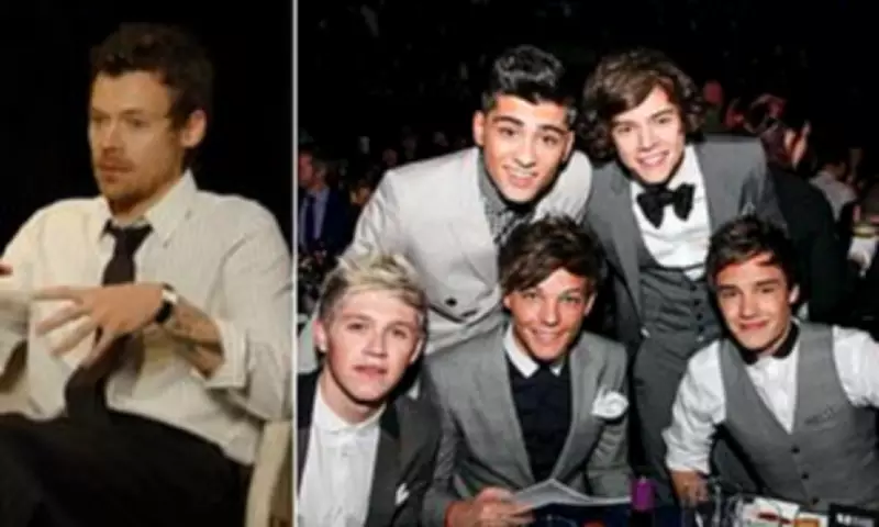 Harry Styles Reveals How Solo Career Taught Him to Be More Private