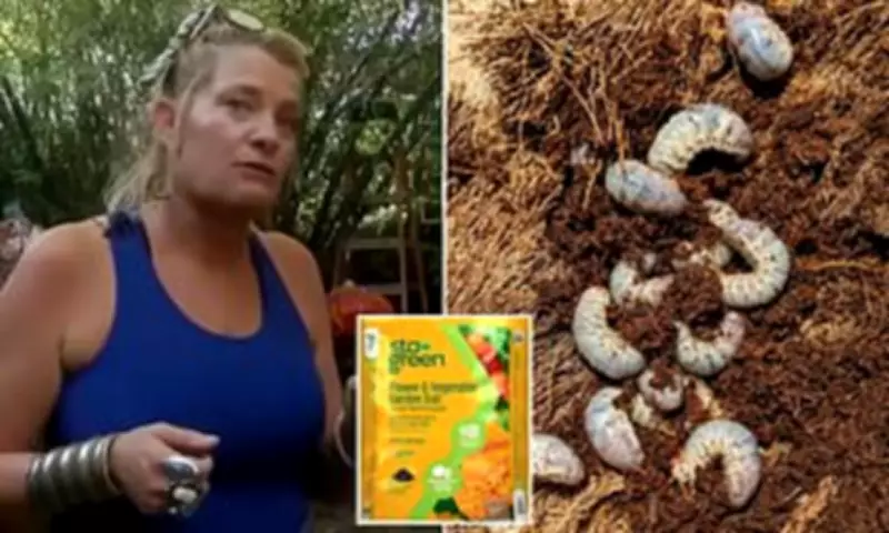 Hawaii Shopper's Horror Find: Beetle Larvae Infest Discounted Soil Bags at Lowe's