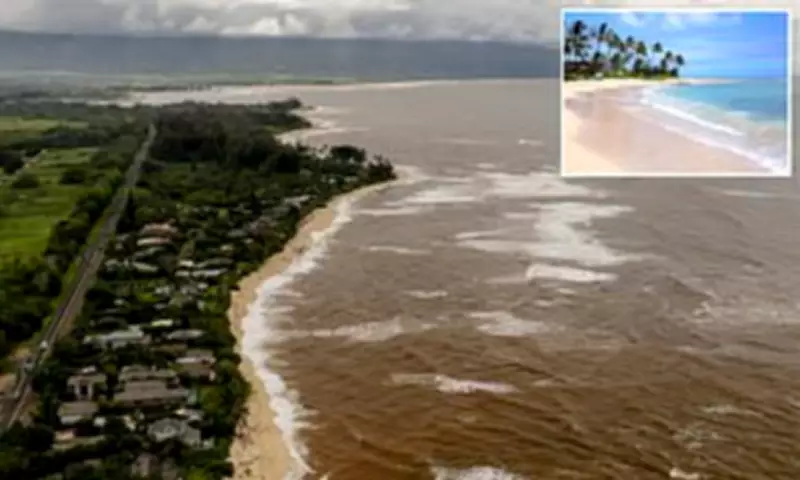 Hawaii's Waters Turn Toxic Brown After Historic Storms Flood Sewage Into Ocean
