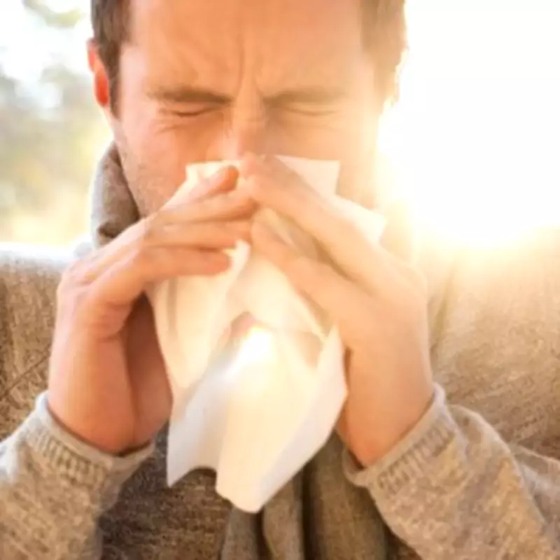 Hay Fever Alert: Five Tree Types to Avoid as Pollen Season Intensifies