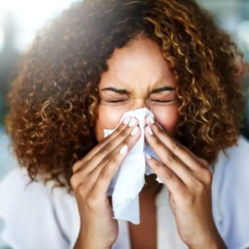 Hay Fever Sufferers Hail Anti-Allergy Duvet for Restful Sleep Relief