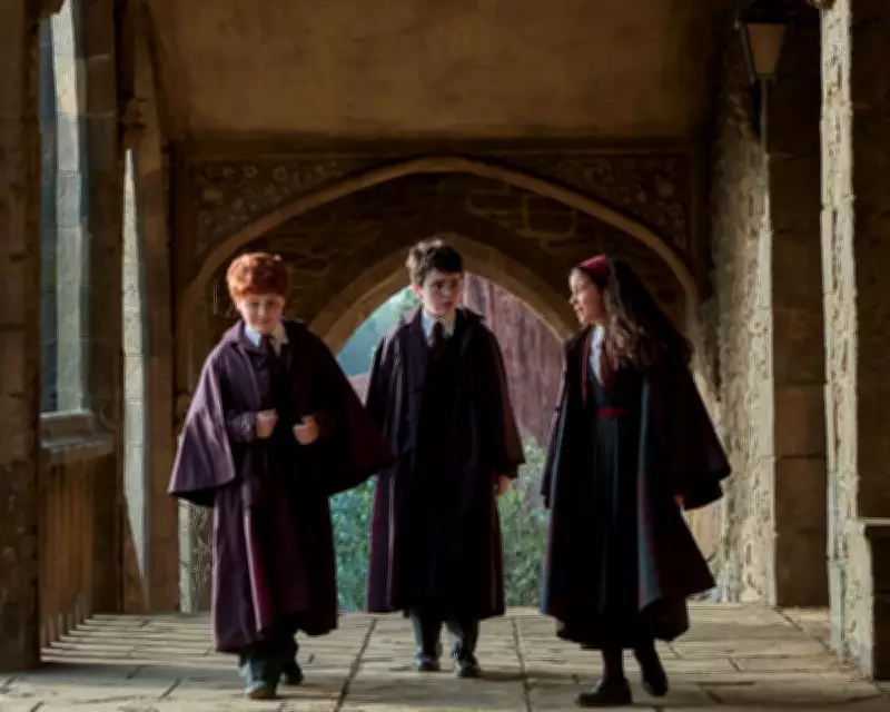 HBO Max Launches in UK with Harry Potter and Friends to Challenge Netflix