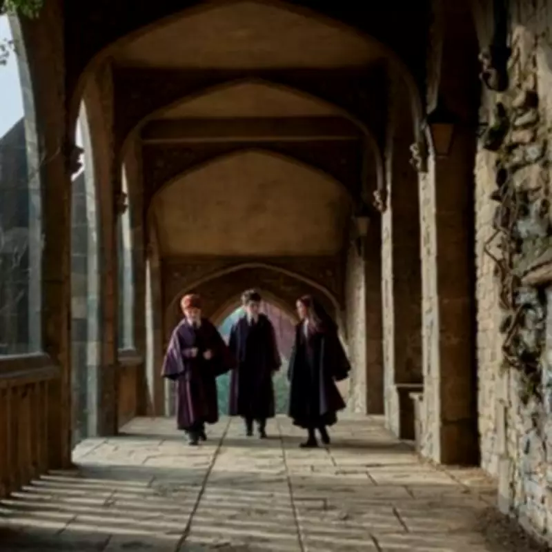 HBO's Harry Potter Series Unveils Cast and Christmas Release Date