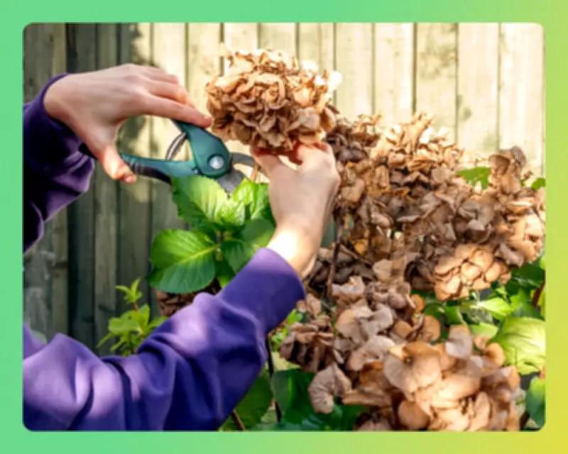 Head Gardener's Essential Toolkit: Top Picks for 2026