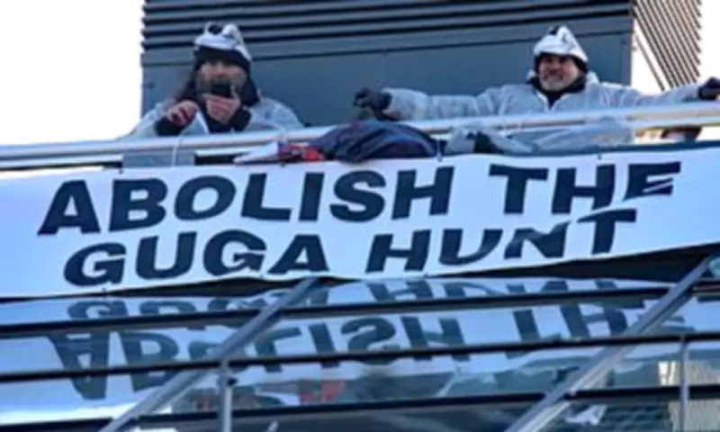 Hebridean Guga Hunt Tradition Faces Modern Backlash and Political Pressure