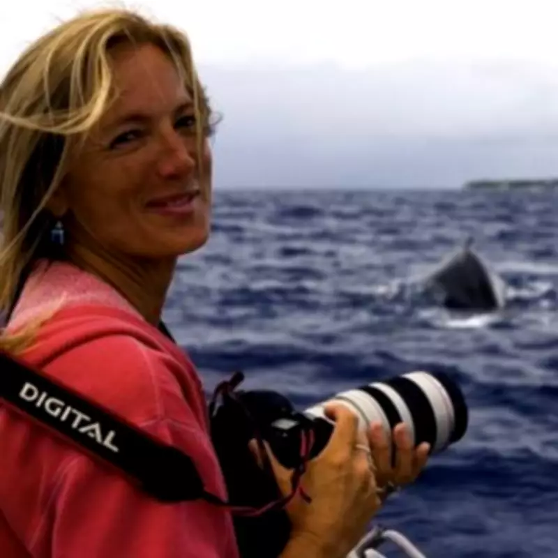 Hero Whale Saves Diver from Shark by Hiding Her Under Fin in Cook Islands