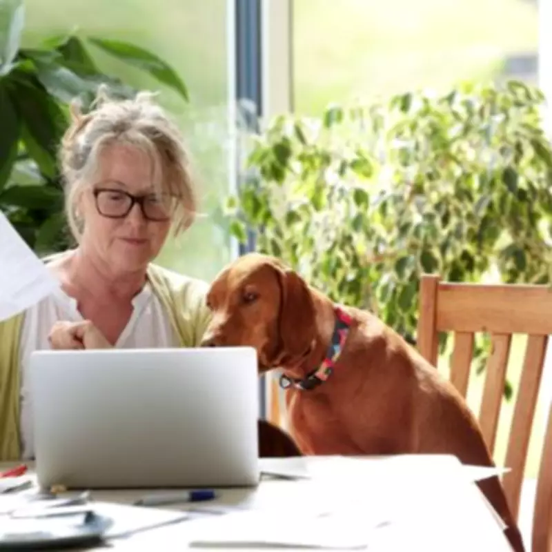 HMRC Collects £137.5m in Late Payment Interest from 1.3 Million Taxpayers