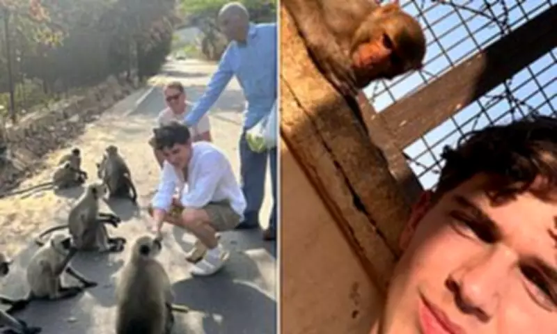 Hollyoaks Actor Oscar Curtis Hospitalised After Monkey Bite in India