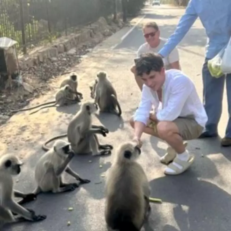 Hollyoaks Star Oscar Curtis Hospitalised After Monkey Bite on Indian Holiday