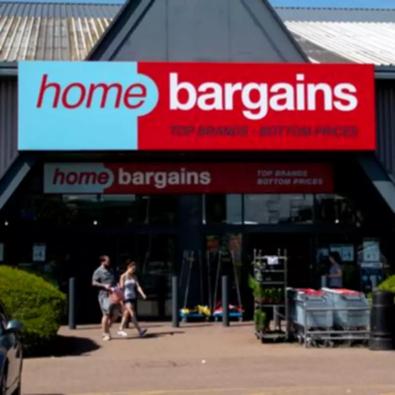 Home Bargains' £10 Garden Lights Create Soothing Nighttime Atmosphere
