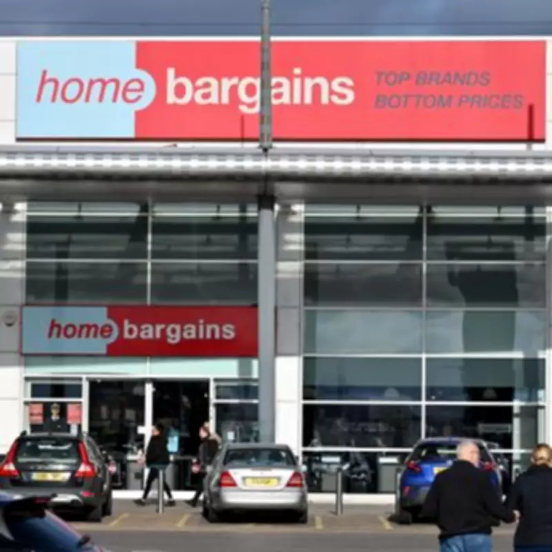 Home Bargains' £15 Garden Lights Create 'Perfect Atmosphere' for Summer Nights