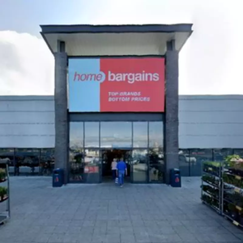 Home Bargains £4.99 Solar Lantern Rivals B&Q's £19 Version for Garden Glow