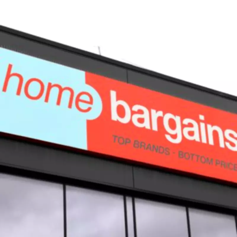 Home Bargains' £6.99 Solar Lantern Adds 'Soft Glow' to Gardens This Spring