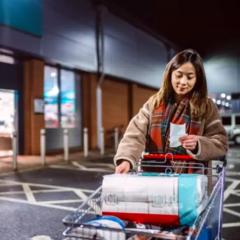 Home Bargains Launches 'Magical' £30 Fairy Water Feature for Gardens