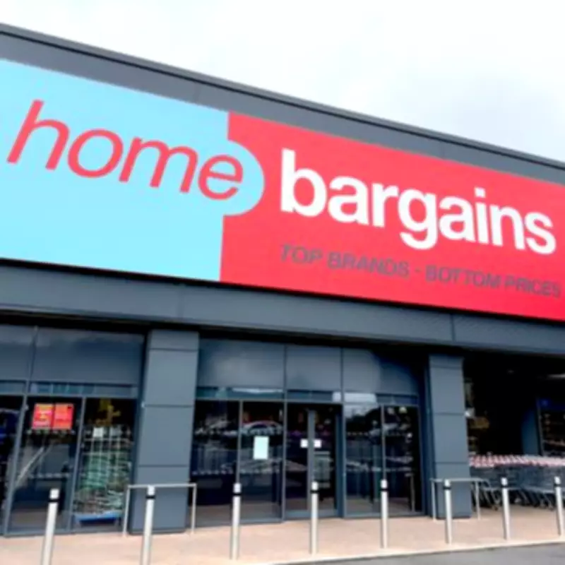 Home Bargains Sells Elegant £1.99 Garden Wall Art for Indoor and Outdoor Spaces
