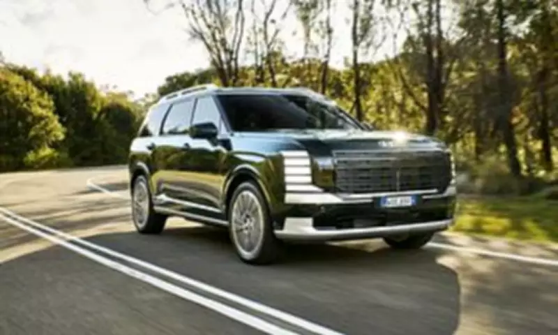 Hyundai Recalls Palisade SUV in Australia After Child's Tragic Death in US