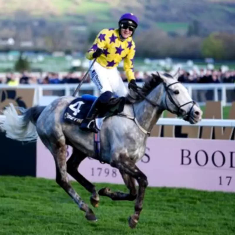 Il Etait Temps Survives Scare to Win Cheltenham's Champion Chase for Kieswetter