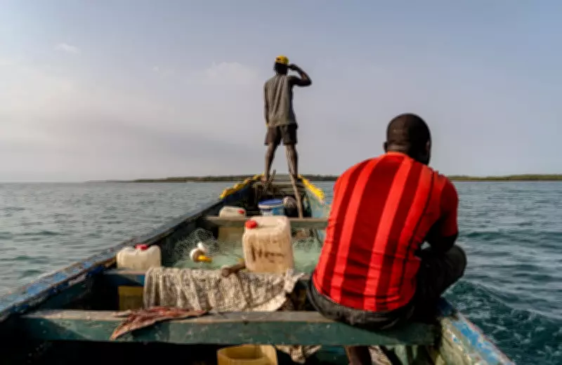 Illegal Fishmeal Factories Threaten Guinea-Bissau's Marine Sanctuary