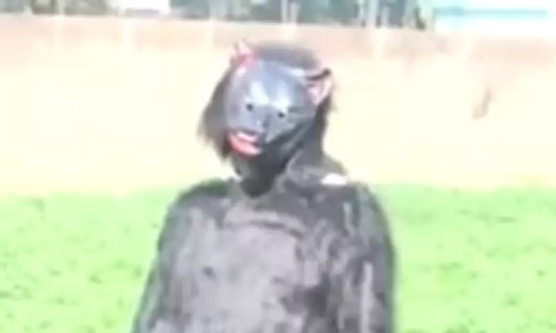 Indian Farmers Wear Bear Costumes to Scare Off Potato-Stealing Monkeys