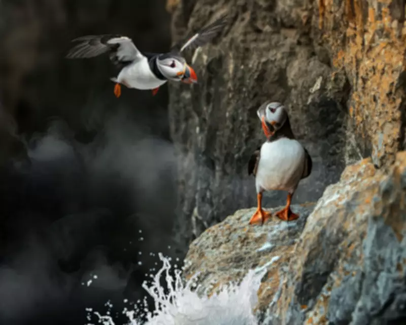 Inside Britain's National Parks Review: A Heartfelt Ode to Contentment