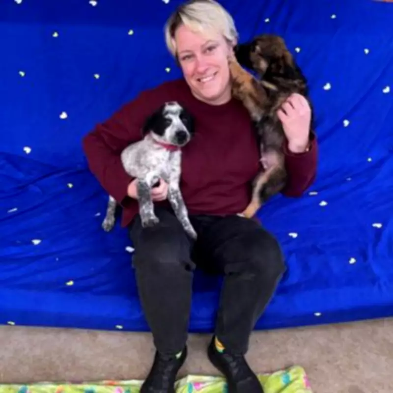 Inside Bucharest's 'Home of Hope': How UK Dog Import Rules Impact Romanian Shelters