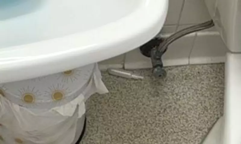 Invisalign Hidden in Bathroom Photo Puts Observation Skills to Ultimate Test