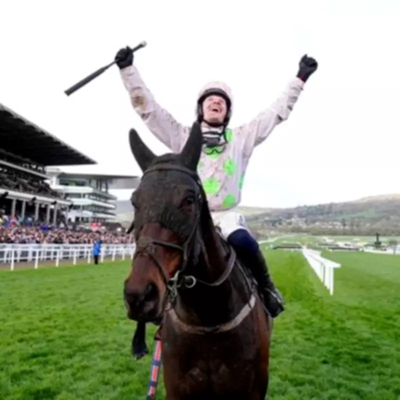 Irish Pensioner Wins £484k with Perfect Cheltenham Festival Lucky 63 Bet