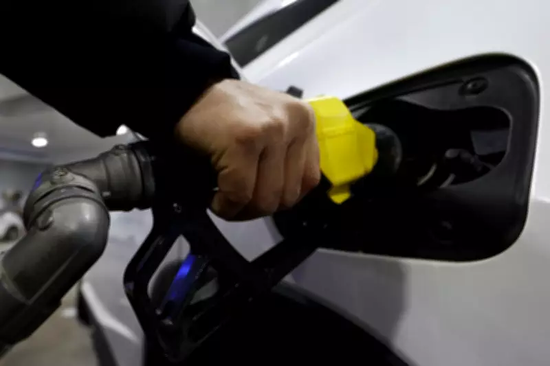 Japan Achieves February Trade Surplus Amid Export Growth and China Weakness