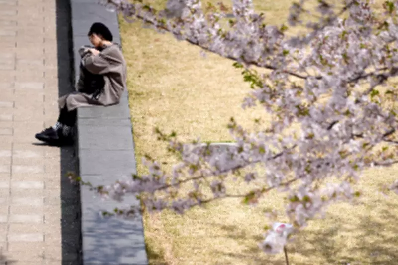 Japan's Cherry Blossom Picnics Hit by Soaring Food Costs as Inflation Bites